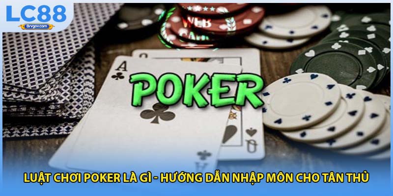 Luật Chơi Poker Là Gì - Hướng Dẫn Nhập Môn Cho Tân Thủ